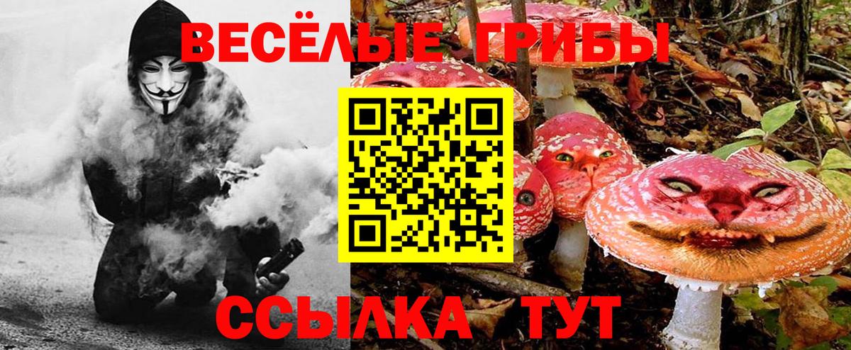 Гуково  Псилоцибиновые грибы GOLDEN TEACHER  Вход с VPN 