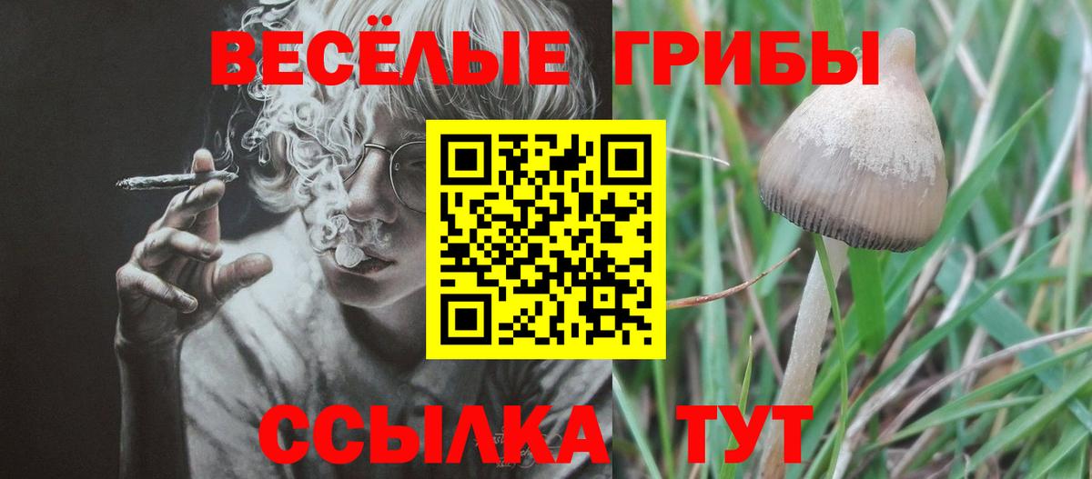 Псилоцибиновые грибы GOLDEN TEACHER Гуково